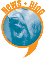 blog page icon