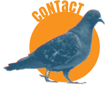 contact page icon